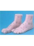 Reflexology Foot Models Left & Right 20cm Tall