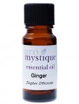 Ginger (Zingiber officinale)