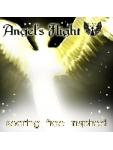 Angel's Flight - CD